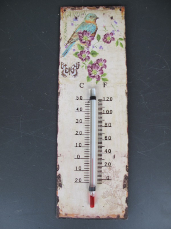 Thermometer Antik Eisen H.25x8cm